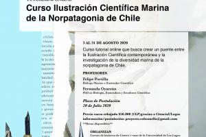Poster_CursoRobsonella_imar_2020_d